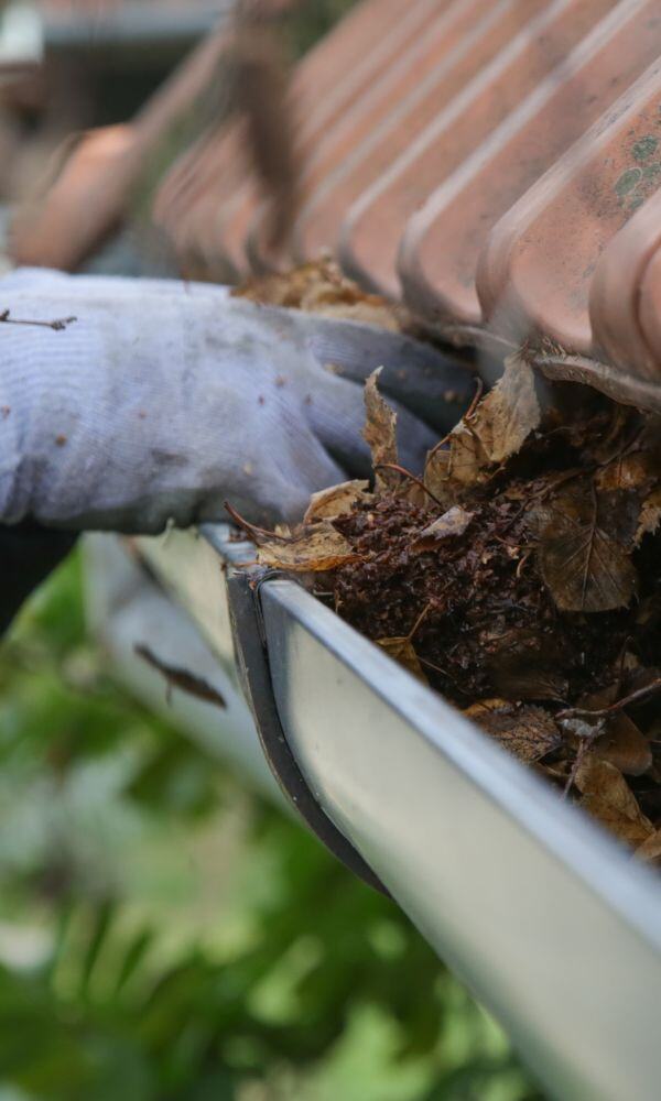 Gutter Cleaning Services Go Rush