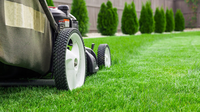 lawn-mowing-guide-1